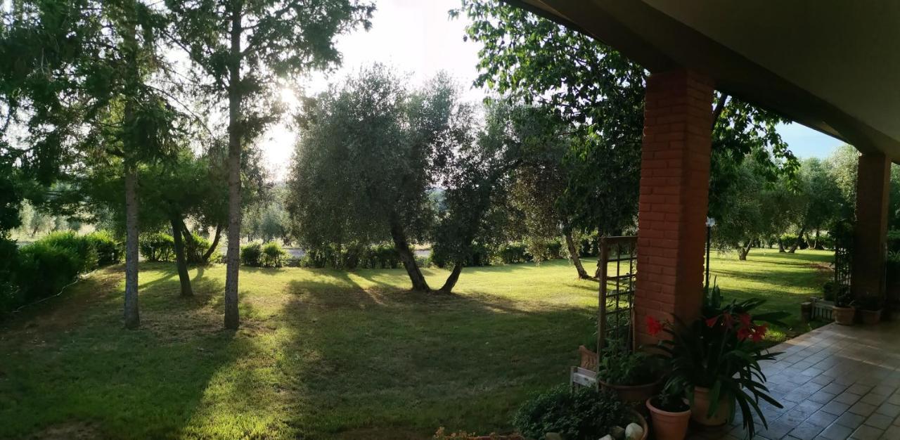 Il Punto Verde Сант-Антонио Экстерьер фото
