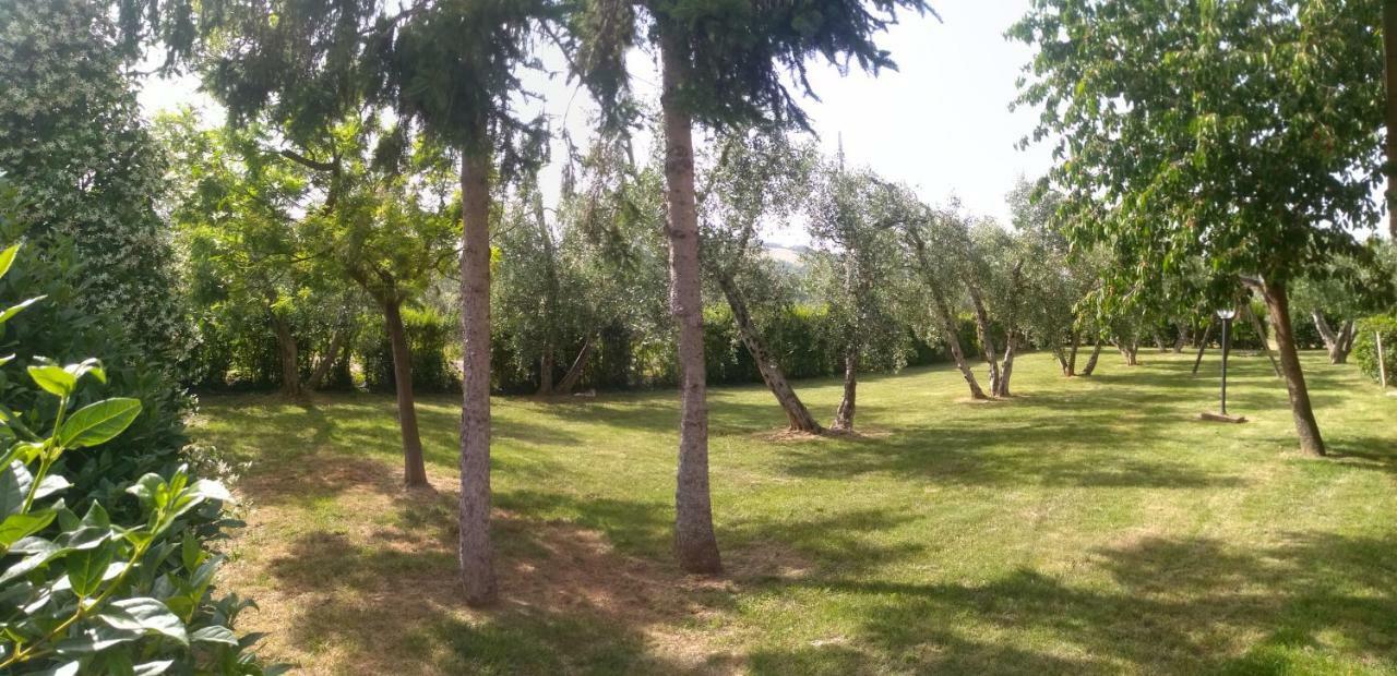 Il Punto Verde Сант-Антонио Экстерьер фото